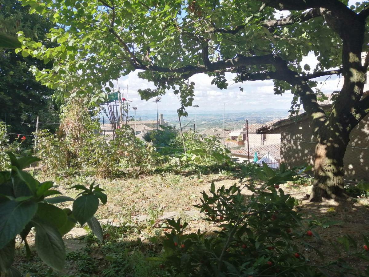 Orto Di Emma Apartment ซานจีมิญญาโน ภายนอก รูปภาพ