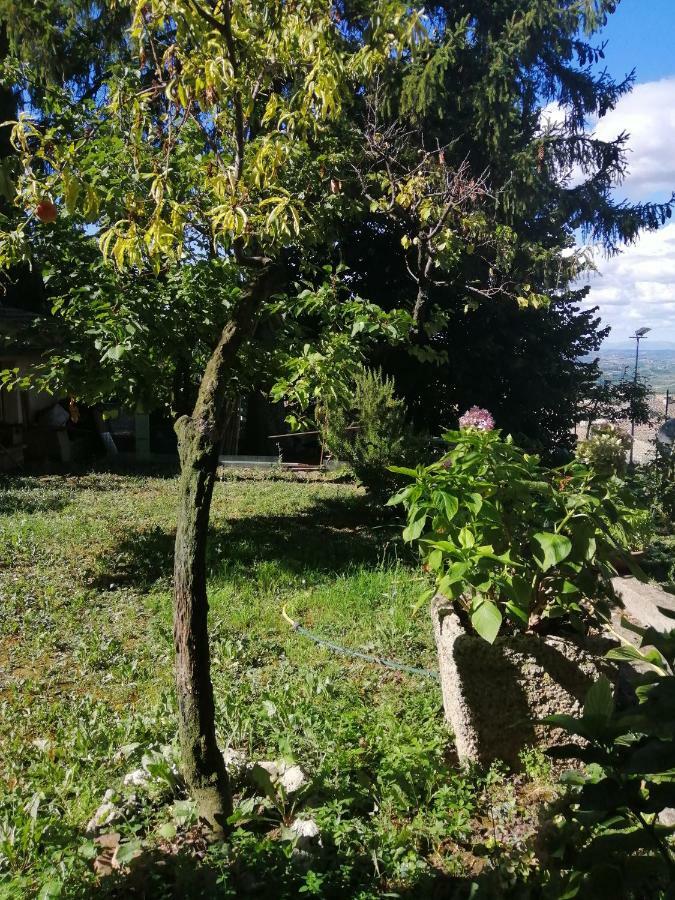 Orto Di Emma Apartment ซานจีมิญญาโน ภายนอก รูปภาพ